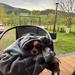 Holiday home Family House Volosianka