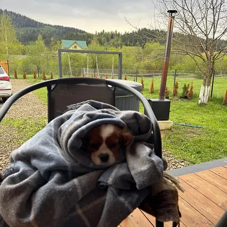 Holiday home Family House Volosianka