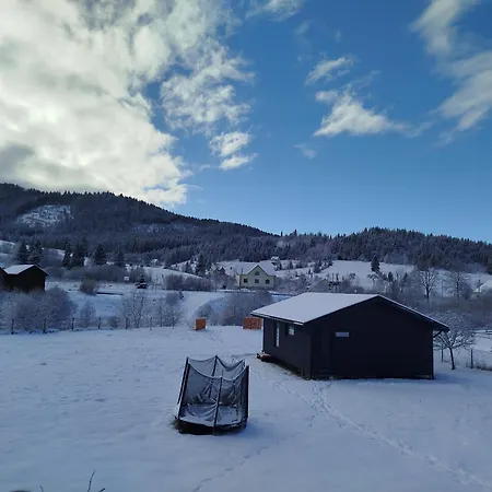 Family House Volosianka